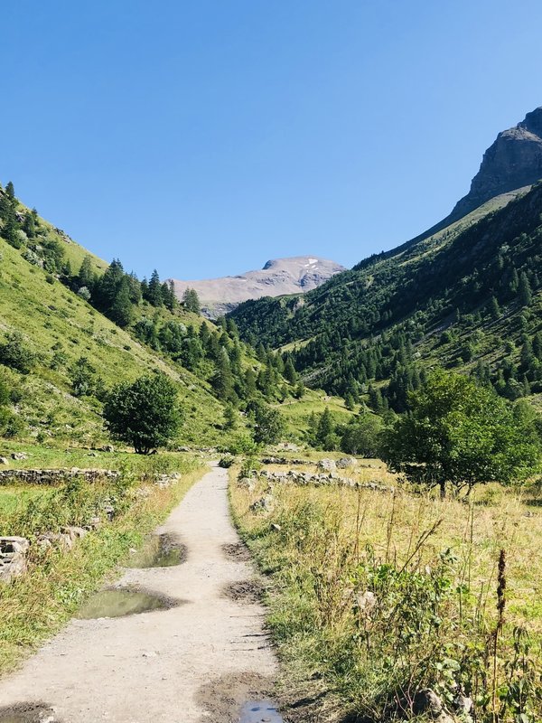 What Are the Most Effective Natural Remedies for Easing Menstrual Cramps?